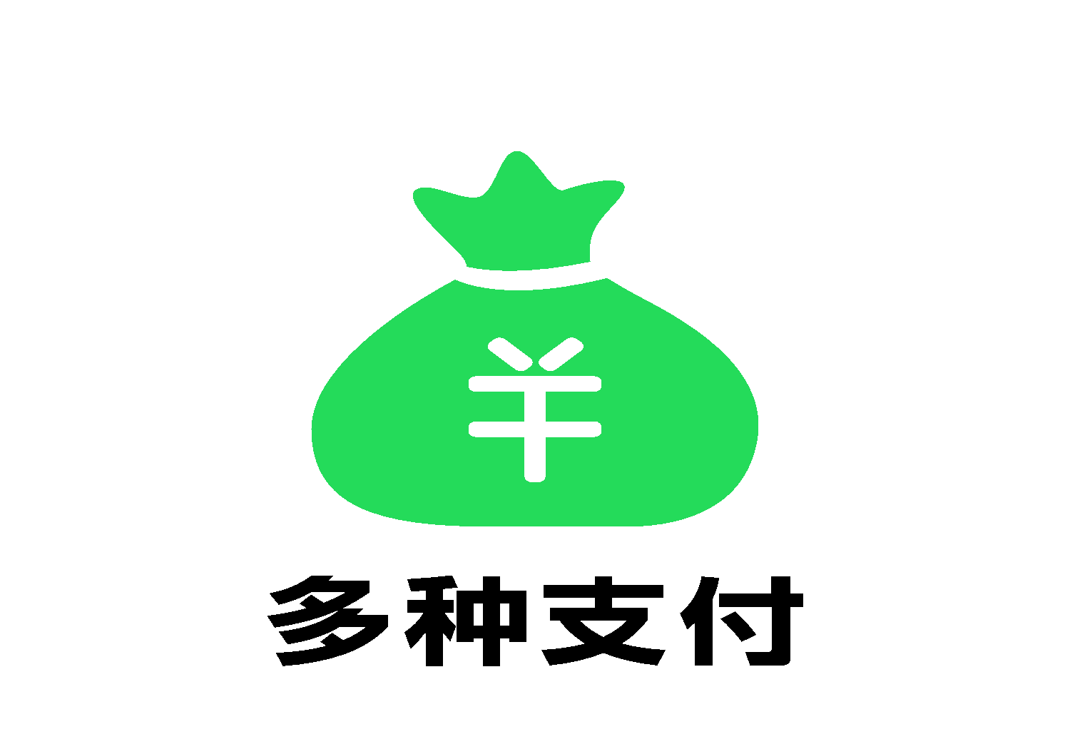 多种支付